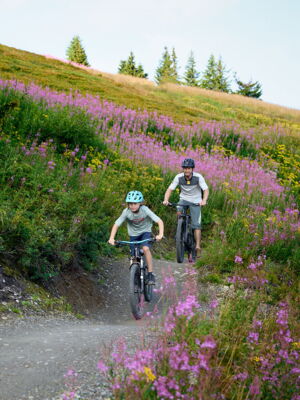 Mountainbiken im Bikepark Schladming beim Urlaub am Bauernhof Haufhof in Haus im Ennstal nahe Schladming