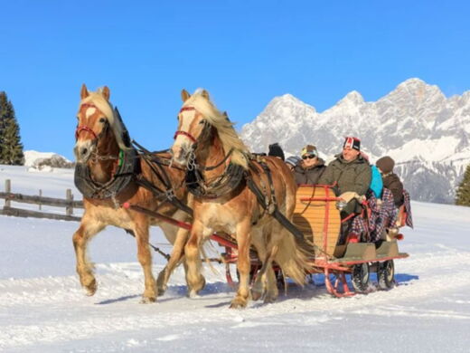 Pferdeschlittenfahrt in der Region Schladming-Dachstein beim Urlaub am Bauernhof Haufhof nahe Schladming